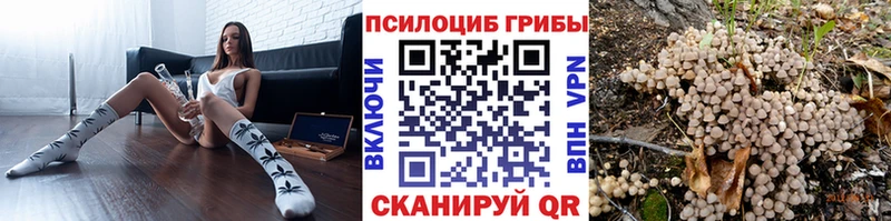 ОМГ ОМГ рабочий сайт  Коряжма  Галлюциногенные грибы мицелий  где купить наркоту 